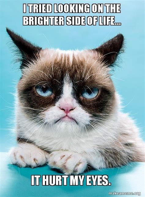 100 Hilarious Cat Memes Funny Grumpy Cat Memes Grumpy Cat Humor