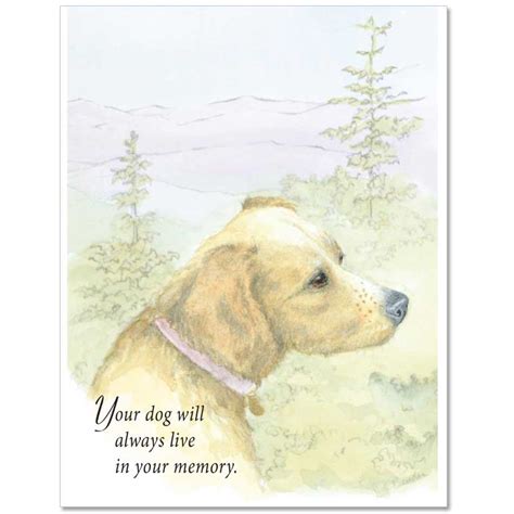 S03 Fixed Message Dog Sympathy Card Veterinary Wisdom