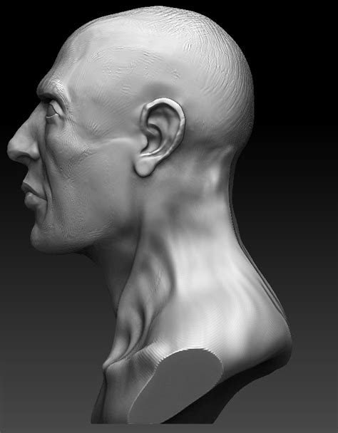 Carl Matthew Edwards Art Head Bust Sculpture