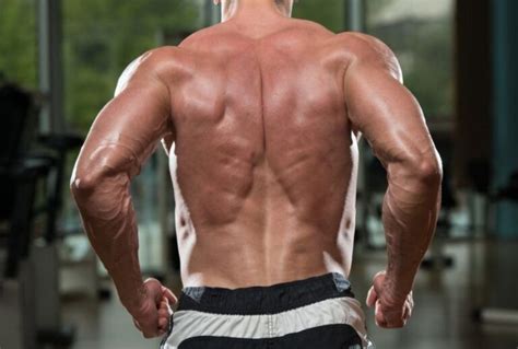 Does Flexing Build Muscle 7 Benefits Of Flexing Muscles