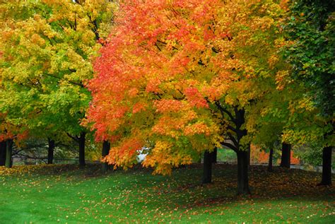 Best Places For Fall Colours In Ontario