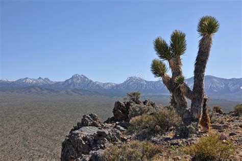 Nevada Desert Landscape Stock Image Image Of Desert 14402659