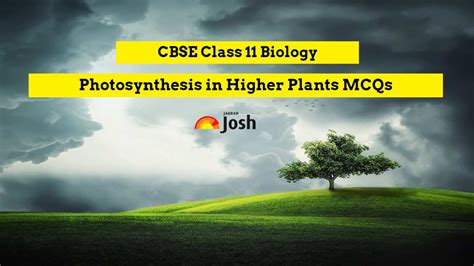 Photosynthesis In Higher Plants Class 11 Mcqs Cbse Biology Chapter 11
