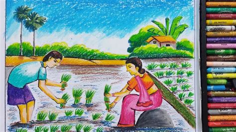 How To Draw Rice Plantation Scenery বাংলার কৃষি কাজ অঙ্কন Step By