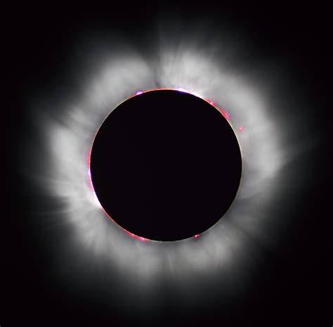 During A Total Solar Eclipse The Sun S Corona And Prominences Are