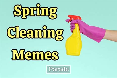 28 Funny Spring Cleaning Memes That Will Make You Lol Parade