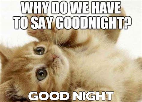 45 Good Night Memes And Images Slicontrolcom