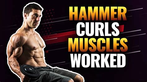 Hammer Curls Muscles Worked Plus 3 Benefits For Full Biceps