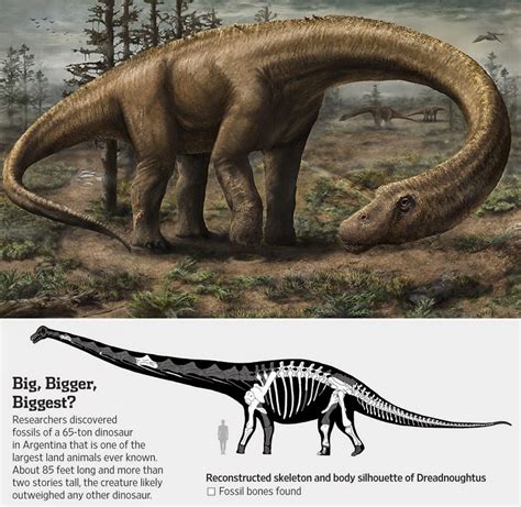 Species New To Science Paleontology 2014 Dreadnoughtus Schrani A