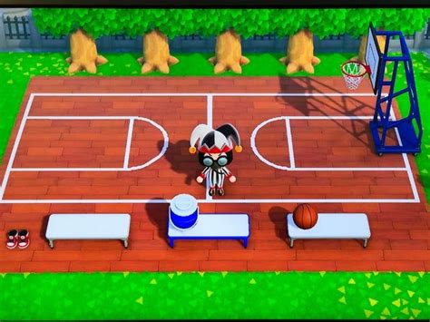 Made My Own Basketball Court Lines Animalcrossing Animal Crossing