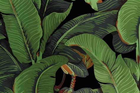 jungle leaves wallpapers top free jungle leaves backgrounds wallpaperaccess