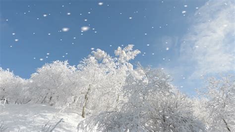 Sparkling Winter Wonderland With Falling Snow Sparkling Fresh White