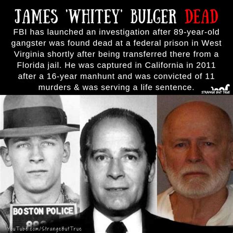 James Whitey Bulger Found Dead In West Virginia Prison The Sbt R Sbtcommunity