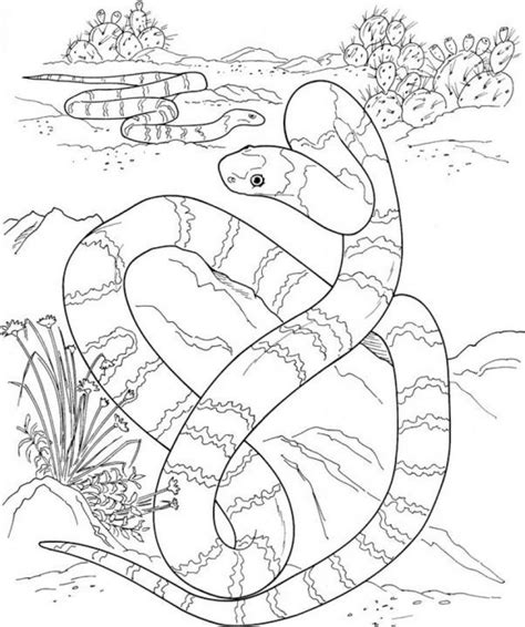 Desert Coloring Pages Printable at GetDrawings | Free download