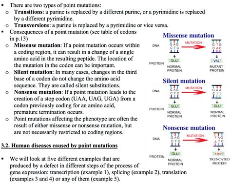 worksheet. Types Of Mutations Worksheet. Grass Fedjp Worksheet Study Site