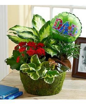 We did not find results for: dish gardens arrangement | Happy Father's Day Dish Garden ...