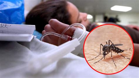 ¡caos piura registra la mayor cifra de muertes por dengue en los últimos 23 años yo soy