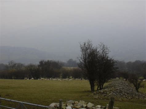 In england ist im allgemeinen mild. Klima und Vegetation in England