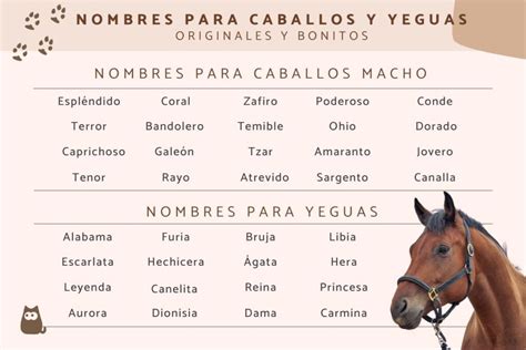 Nomes Para Cavalo Macho