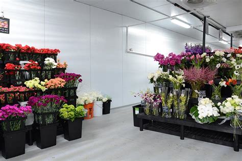 Use eventective to find florist vendors for your meeting, event, wedding, or banquet. Flowers of Jacksonville - Florist - Jacksonville, FL