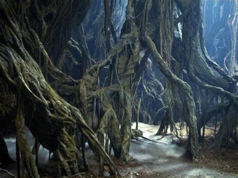 Star Wars Yoda Home Planet These Beasts Were Native To Dagobah Which