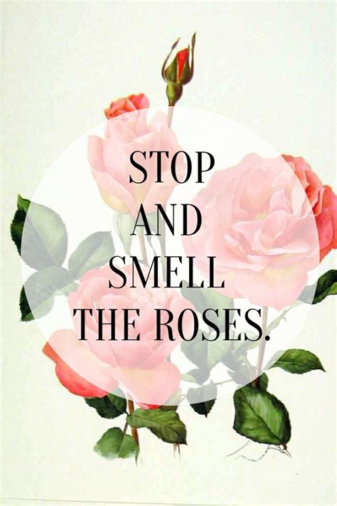 Maybe you would like to learn more about one of these? Stop And Smell The Roses Quotes. QuotesGram