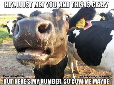 20 Best Farming Memes Images On Pinterest Agriculture