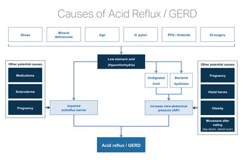 Underlying Causes Of Acid Reflux Testing And Natural Treatment