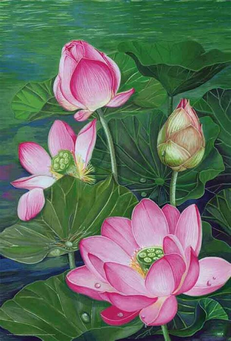 Water Lilies Painting Lotus Painting Flower Art Painting Mural Painting Flower Drawing