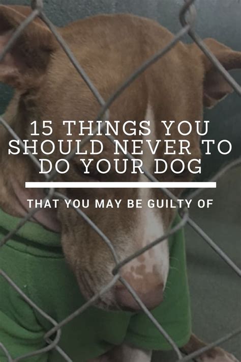 15 Things You Should Never Do To Your Dog But That You Might Be Guilty