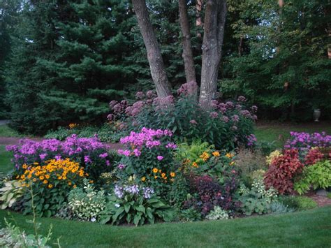 Perennial flowers for jewish cemeteries in lafayette indiana. More from Lynn's garden in Wisconsin! - FineGardening