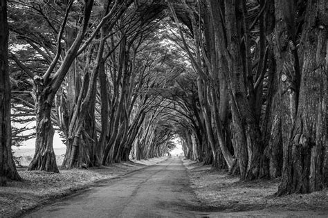 Where To Use Black And White Photography