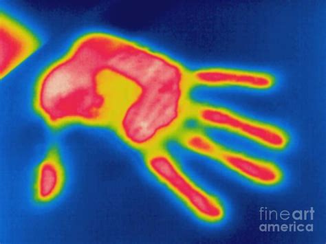 Thermal Body Art Body Art Painting Canvas Drawings A Level Art Sketchbook