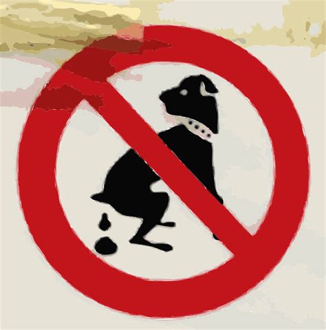 Dog Pooping Not Allowed Sign Openclipart