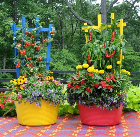20 Gorgeous Full Sun Container Plants Ideas To Make Up Your Garden