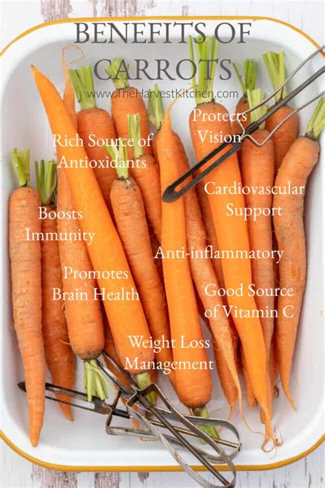 Health Benefits Of Carrots The Harvest Kitchen