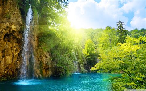 Forest Falls World Most Famous Waterfall Landscape Wallpaper Preview