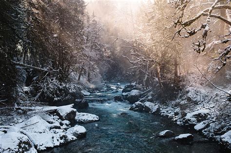 Royalty Free Photo Flowing Stream In The Middle Of Snow Covered Forest