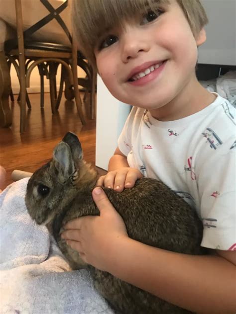 Bunny Buddy Bring The Farm To You