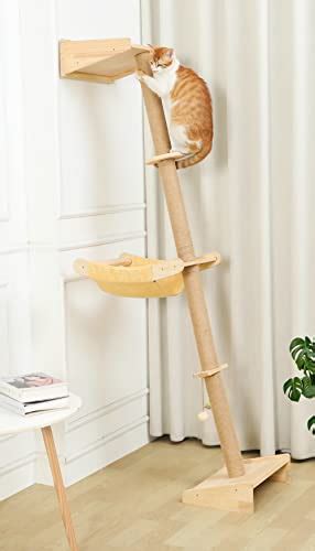 10 best cat climbing poles to keep your kitty active and entertained at home a comprehensive