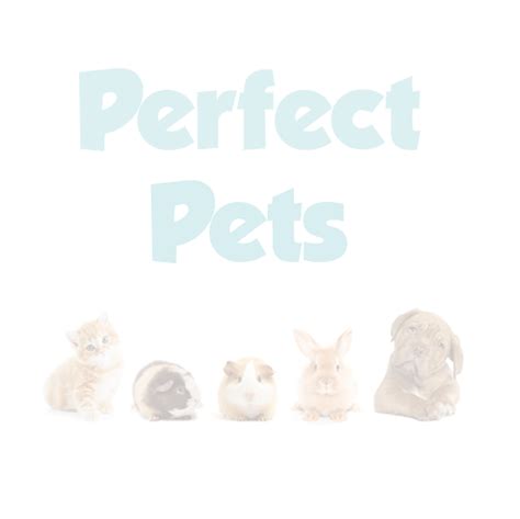 Perfect pet rescue has many wonderful dogs for adoption. Australia's Ethical Pet Directory - Find Everything for Pets.