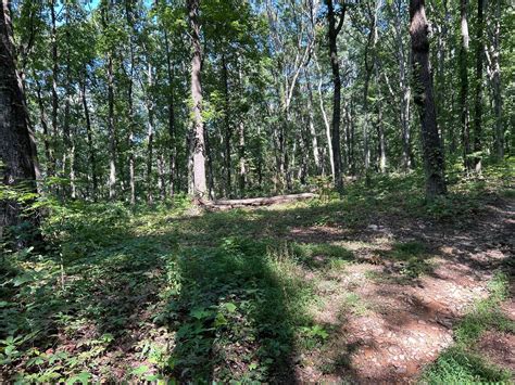 Etowah, McMinn County, TN Undeveloped Land for sale Property ID