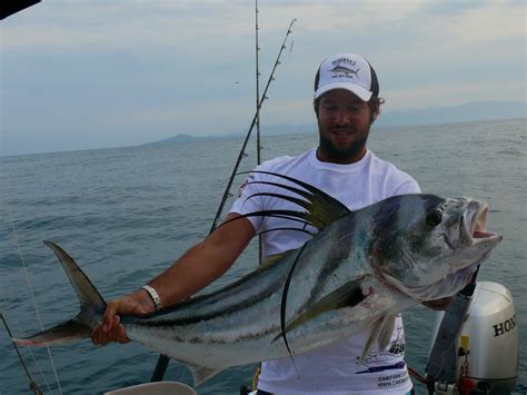 Fishing wallpaper for desktop, mobile, iphone and tablets. Puerto Vallarta fishing report September 2015 Sailfish ...