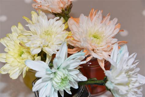 Check spelling or type a new query. Colour Changing Flowers - Transpiration Experiment ...