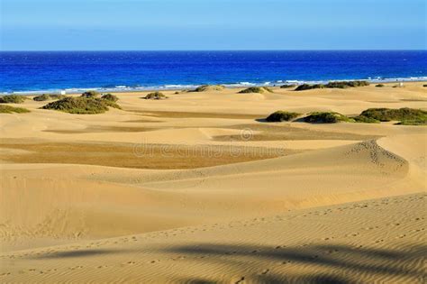 Natural Reserve Of Dunes Of Maspalomas In Gran Canaria Spain Stock