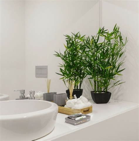 Bedroom decorating ideas uk 2020 excess deaths. 20 Houseplants That Would Love to Live in Your Bathroom