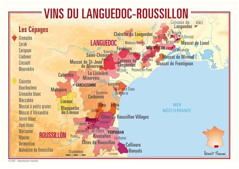 Discover The Languedoc Roussillon Wine Region Wine Region Map France