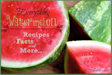 Watermelon Recipes Facts And Everything Else You Need To Know