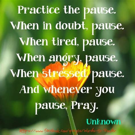 Pause Wise Quotes Sayings And Phrases Inspirational Words