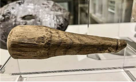 2000 Year Old Phallic Object May Be The First Known Roman Sex Toy